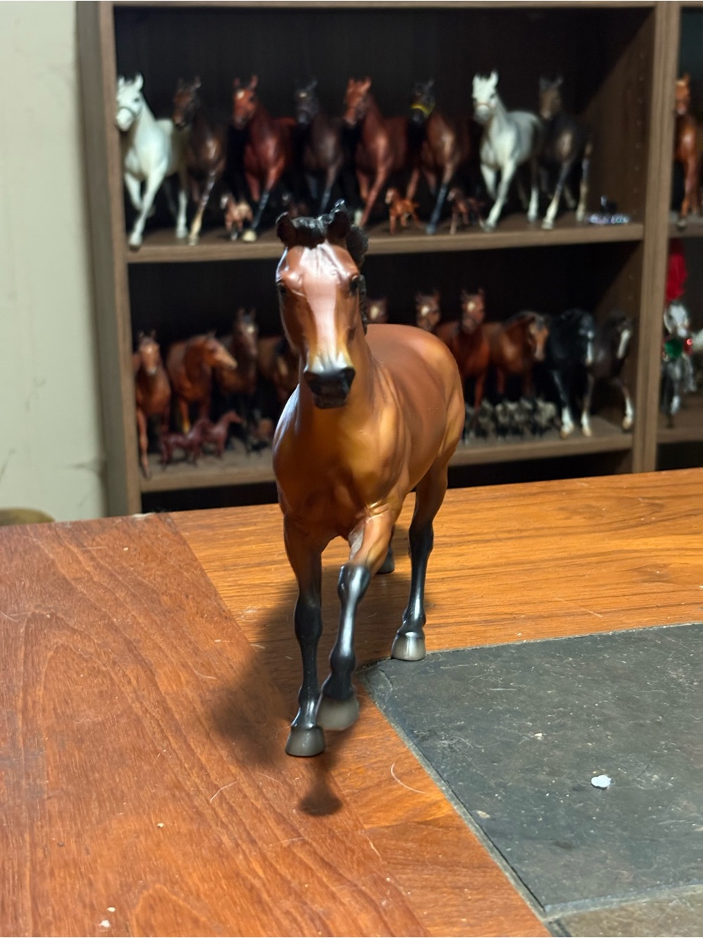 Breyer FFA Model - Picture 4 of 4